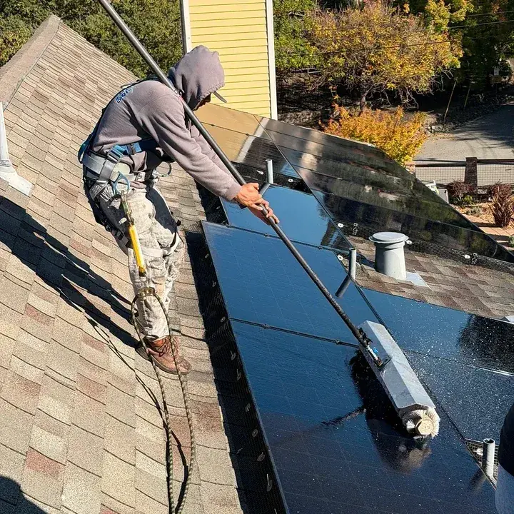 A technician in a safety harness with the lanyard running back across the shingle roof, holding a water-fed pole with the soft brush head flat on the panel glass and water running off the surface.